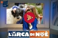 video_canale5